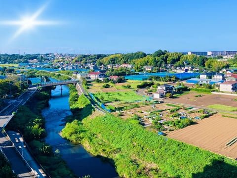 田舎の風景