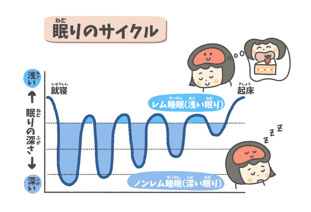 眠りのサイクルの図解