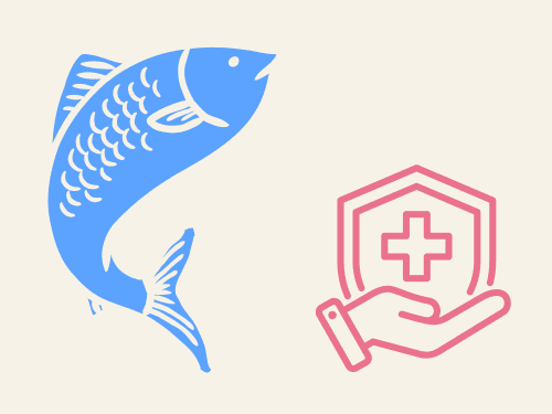 魚と健康