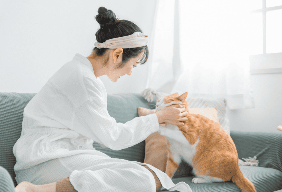 猫を愛でている女性