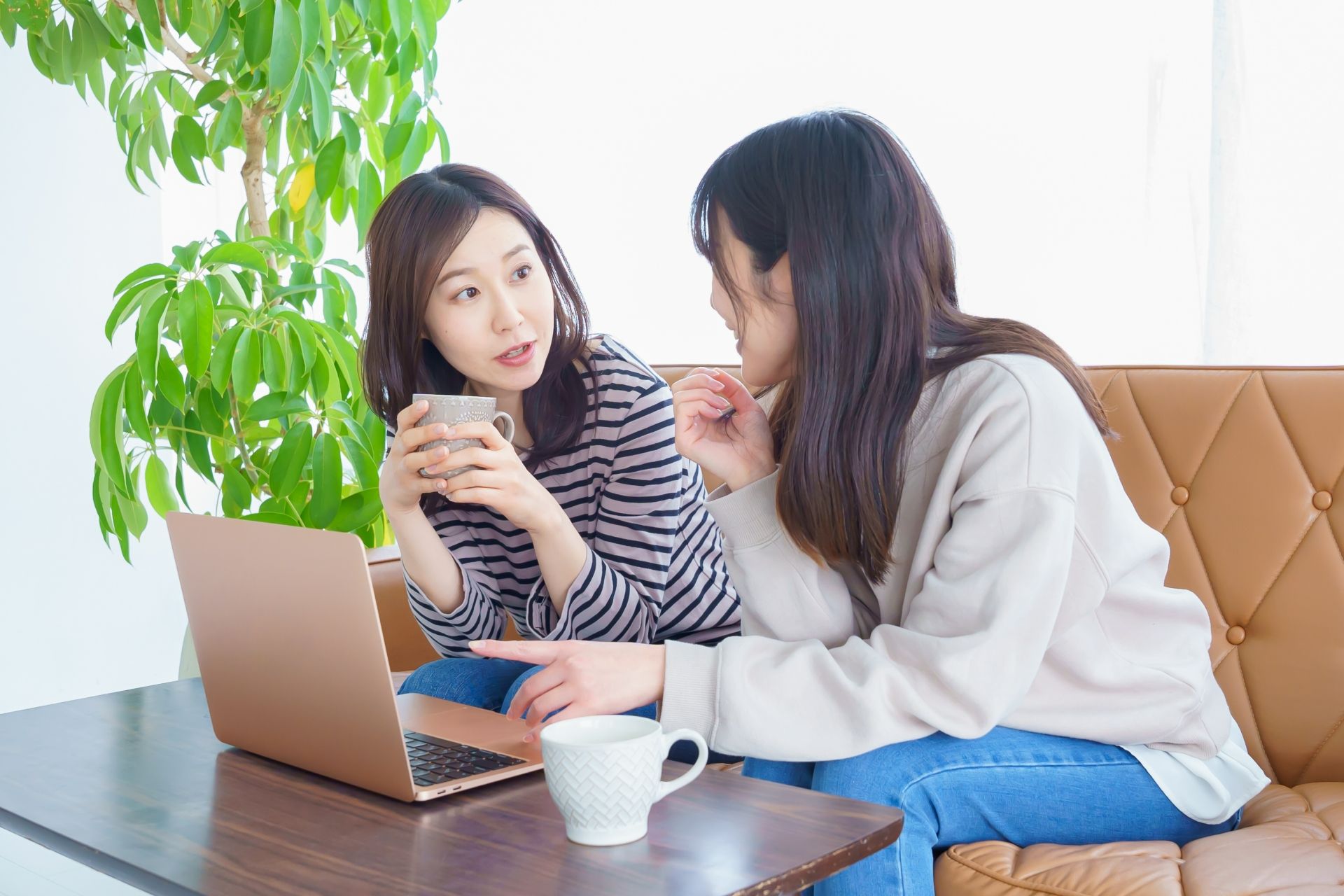 カフェで話し合う女性2人