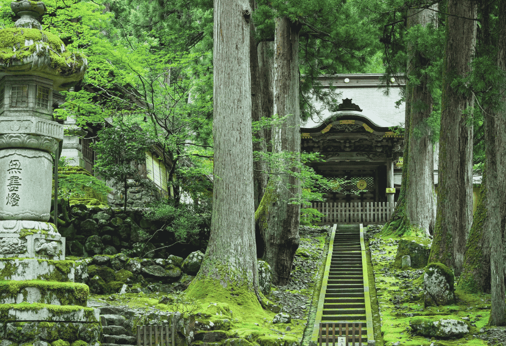 神社の入り口