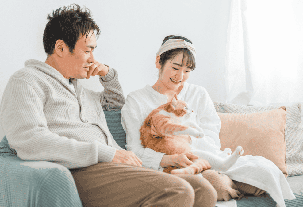 猫を愛でる男性と女性