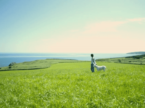 ウェルビーイングっぽい風景