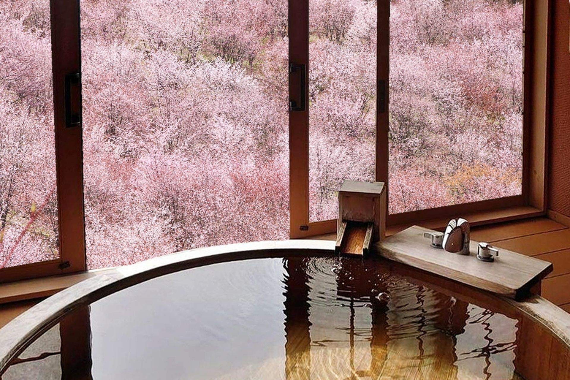 桜が見える露天風呂
